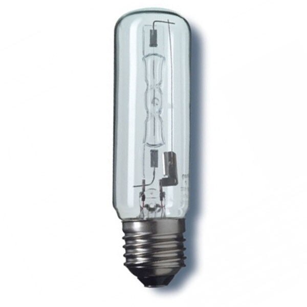 Halogen Lamps