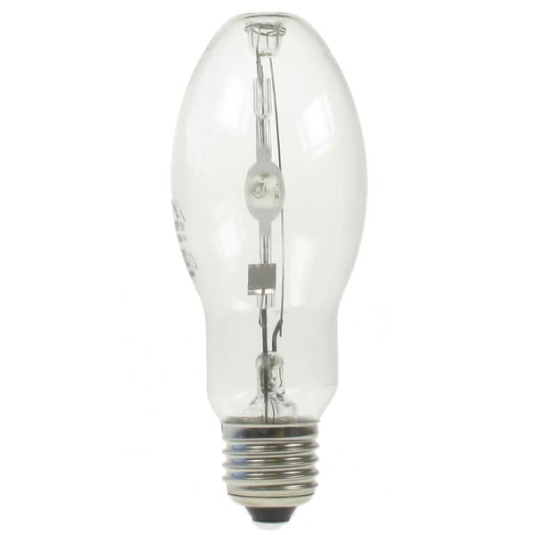 Sp30 40w bulb store