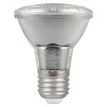 LED PAR20