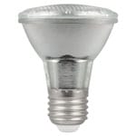 LED PAR20