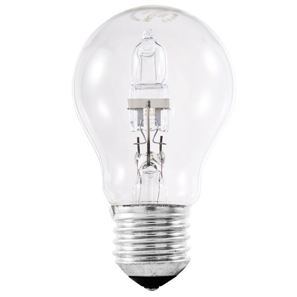 Halogen Light Bulbs