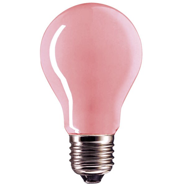 Soft tone shop pink light bulbs